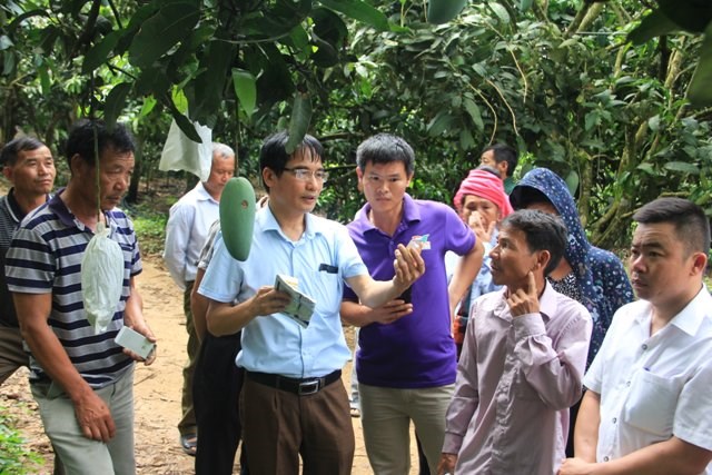 Gắn kết nhà khoa học với nông dân, cùng xây đắp những mùa vàng bội thu (20+21/07/2024)